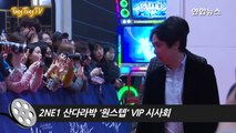 2NE1 산다라박(daraxxi) 'One Step' VIP 시사회 (원스텝, Sandara Park, 투애니원, 한재석, 홍아름)-rpawid_QzDs