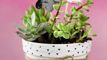 3 Ways to Personalize a Mother’s Day Succulent Gift - HGTV Handmade-YRpXkyGA5sI