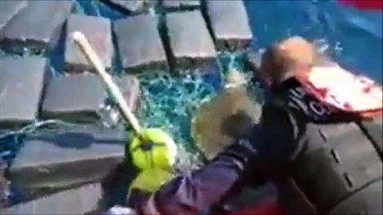Une tortue de mer retrouvée piégée dans 53 millions de dollars de cocaïne