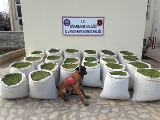 Diyarbakır'da Teröre Darbe Üstüne Darbe