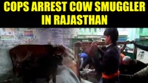 Rajasthan Police arrest cow smuggler in Alwar , Watch Video | Oneindia News