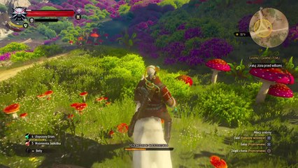 Wiedźmin 3_ Dziki Gon_20171220224121