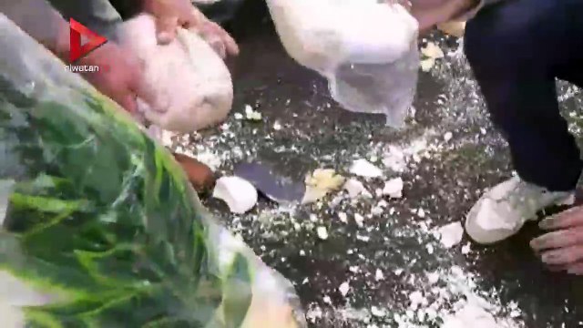 جمارك دمياط تحبط محاولة لتهريب شحنة دخان خام إلى فلسطين