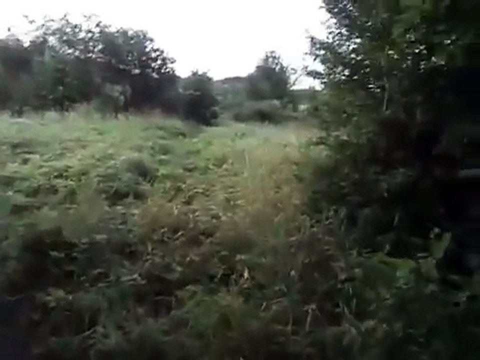 ОПОЛЧЕНЦЫ ПОЙМАЛИ ФАШИСТА ИЗ АЙДАРА (20.07.2015)