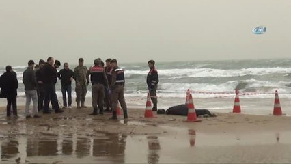 Teknesi Alabora Olan Veteriner Hekim Cesedi Kıyıya Vurdu