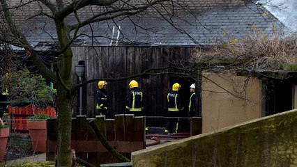 Brand im Londoner Zoo: Erdferkel "Misha" gestorben, mehrere Erdmännchen werden vermisst