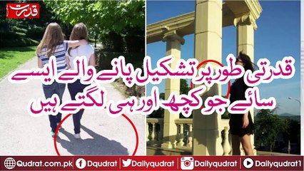 Shadows That Tell Completely Different Stories