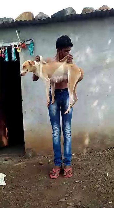 excise with dog as dumble