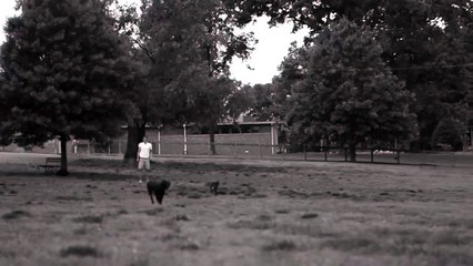 Slow Motion: Dog, People and a Firecracker Ball