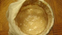 Yeast (homemade)