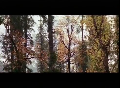 Pudhu Vellai Mazhai Song | Roja Tamil Movie | Arvind Swamy, Madhu Bala