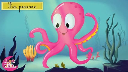 Apprendre les animaux aquatiques en français