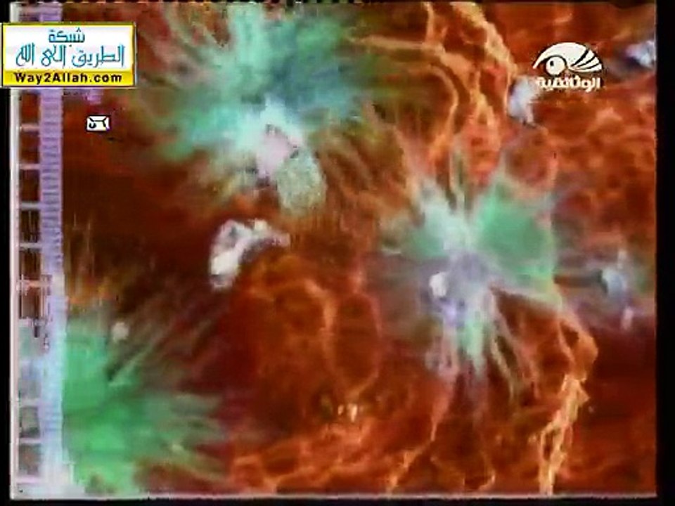 رحلة داخل أجسام المخلوقات