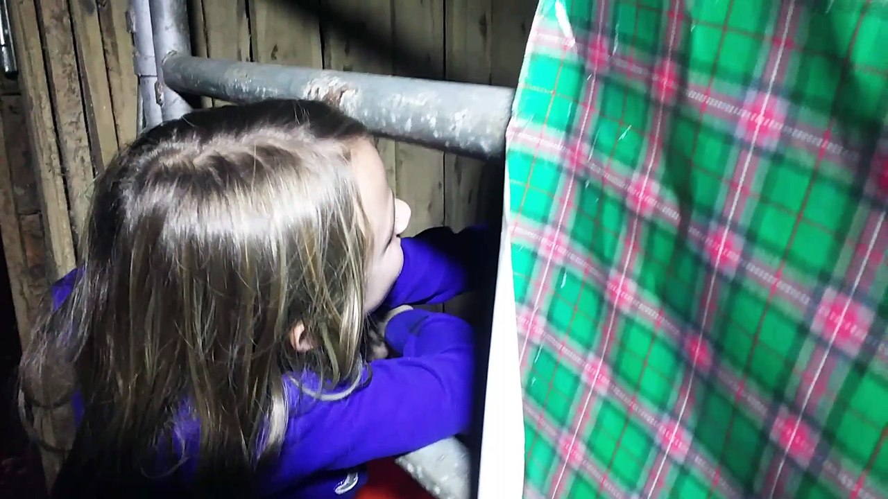 Pony for Christmas is Little Girls Dream