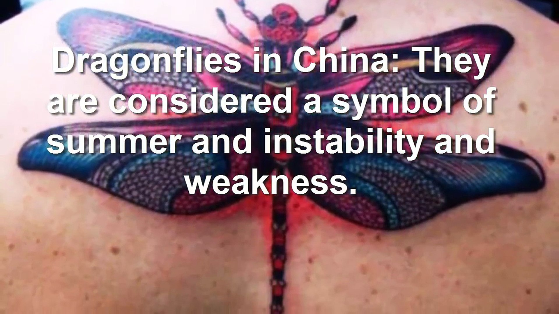 Meaning and History of Tattoos Dragonflies-hxenTD6MxZw