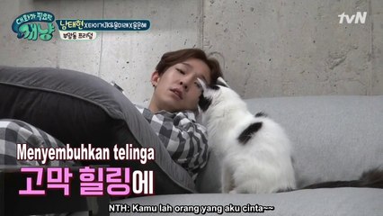 [Indo SUB] Dear My Human ep 11 (TH's cut)