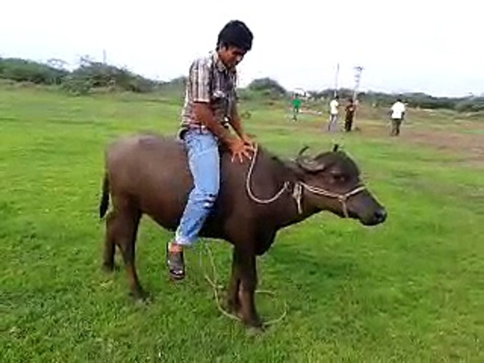 VID-20150726-WA0002