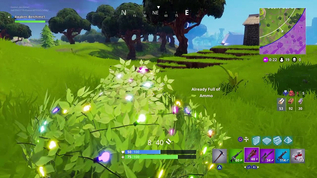 Fortnite_w part1