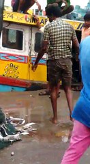 gaint fish 10 ton weighted fish caught in kokon area