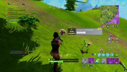 Mittens Fortnite 133