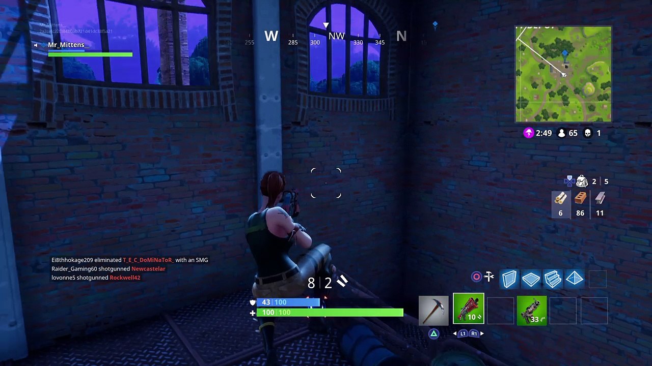Mittens Fortnite 144