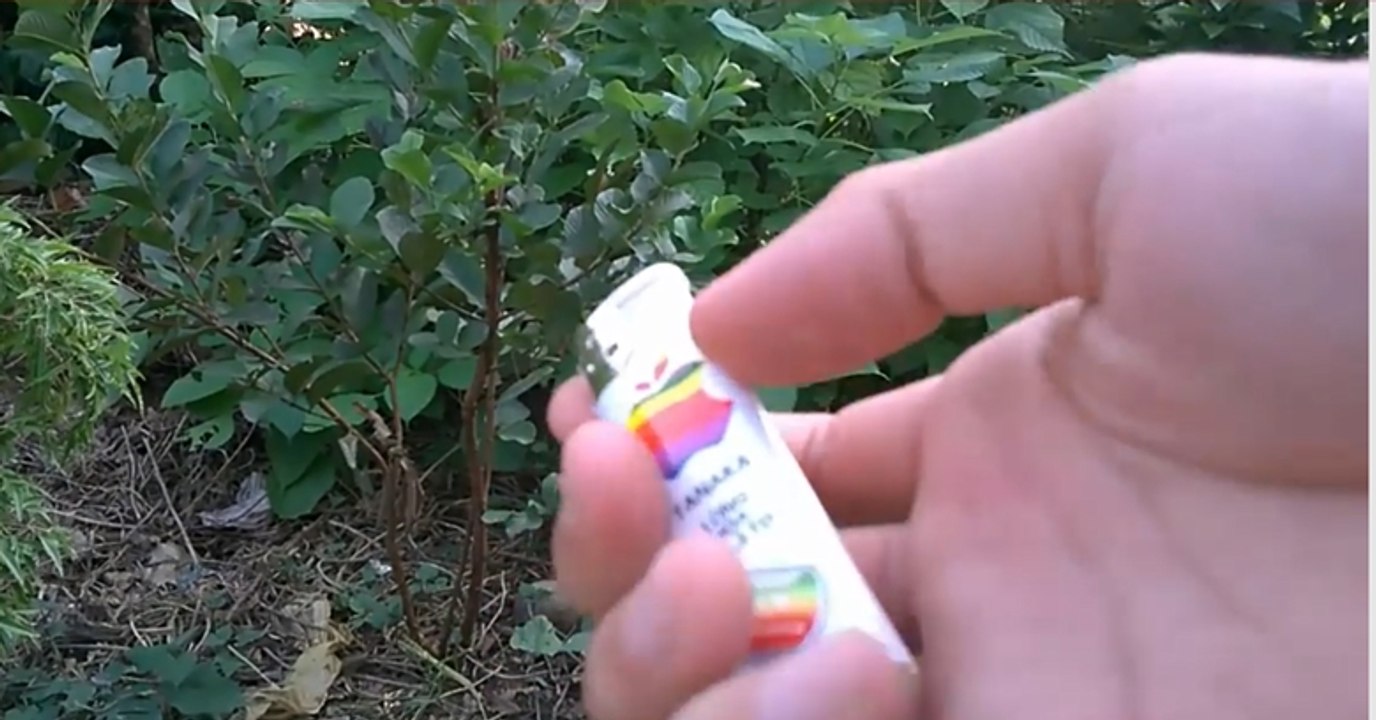 Check This Exceptional Lighter Out!