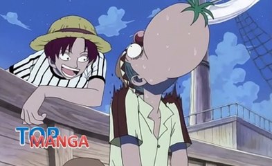 Trái ác quỷ và những người dùng bất đắc dĩ