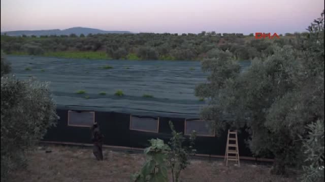 Aydın Kuşadası'nda Salyangoz Üretecekler