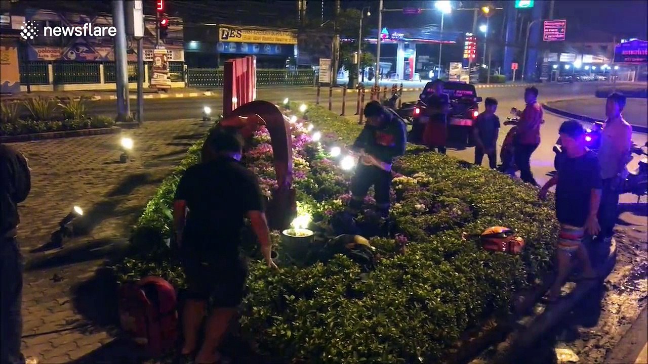 Motorcyclist falls off bridge but lands in flower bed and survives