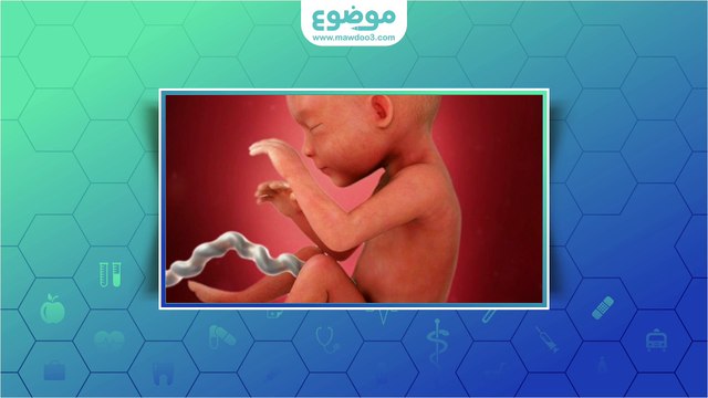 كم يبلغ وزن الجنين في الشهر السابع