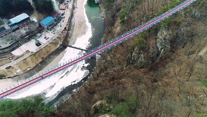 높이 100m 원주 출렁다리 '아찔해요' / YTN