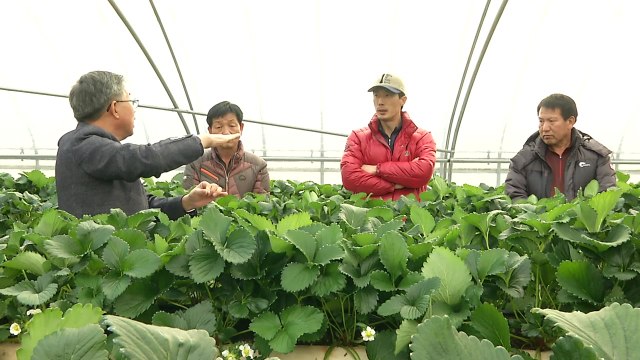 대학-지자체 친환경 농축산업 혁신 모델 구축 / YTN