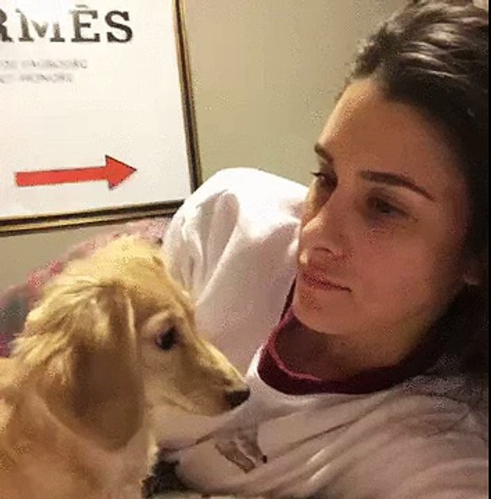 funny animal  Find, Make & Share Gfycat GIFs