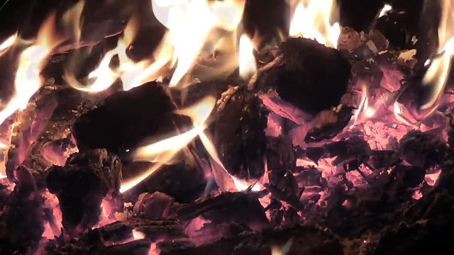 Страшные истории на ночь - ПОСЛЕДНИЙ КОВЧЕГ