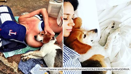 Meghan Markle's desolation after adored pet hurried to television super vet for treatment