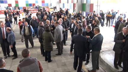 KKTC'de Karadeniz Hamsi Festivaline Büyük İlgi