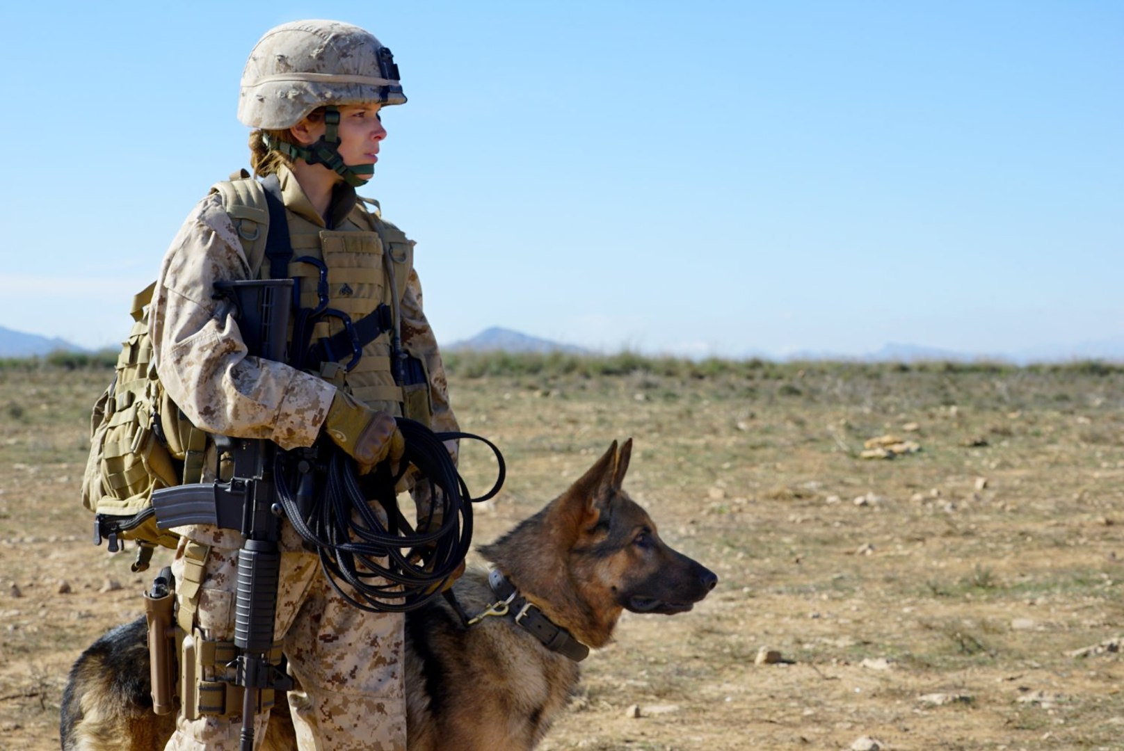 Watch Megan Leavey Full Movie Video Dailymotion