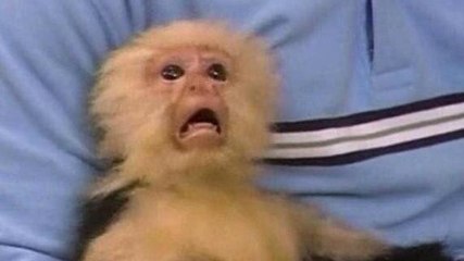 President Just Declared A State Of Emergency - & Why