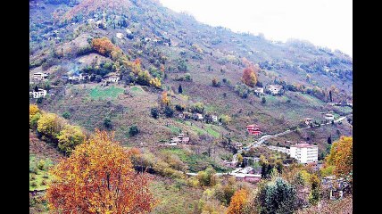 Çarşıbaşı Şahinli Köyü