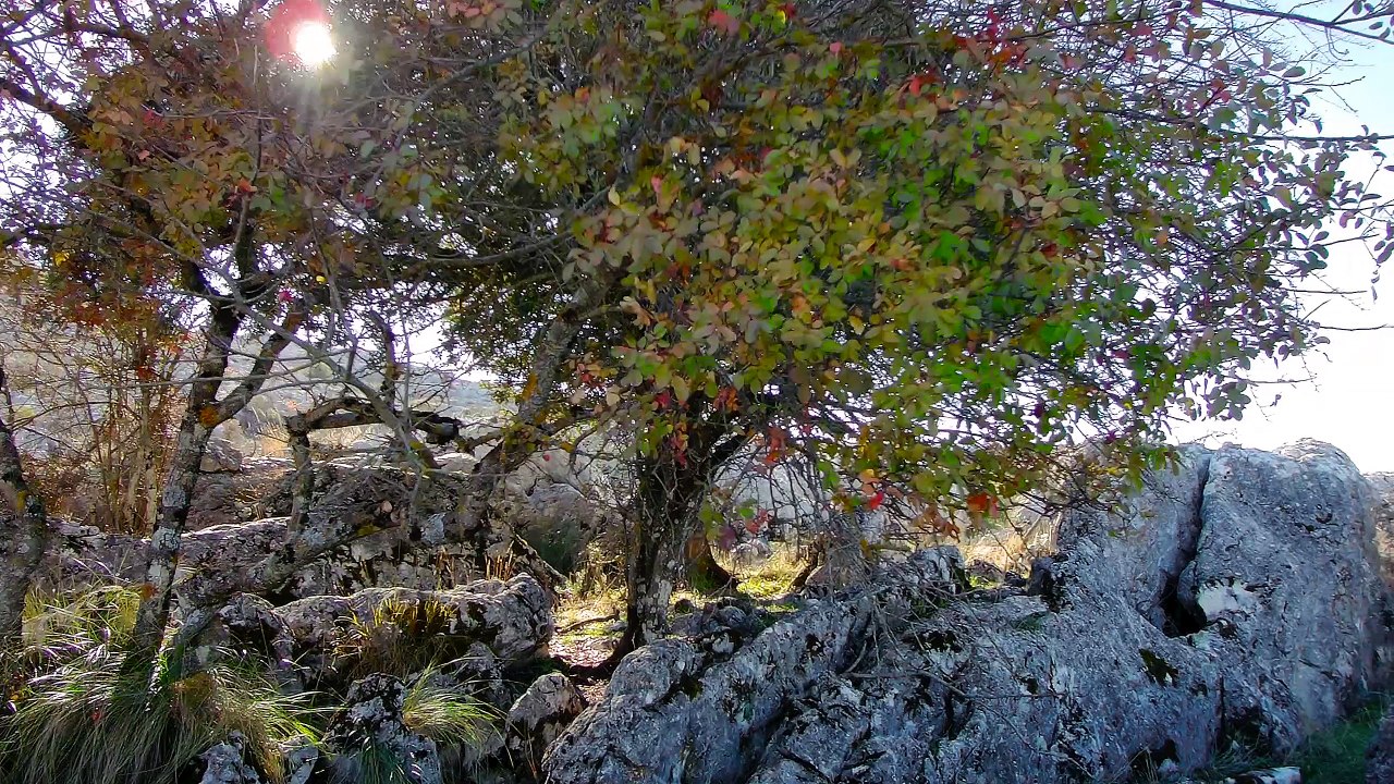 Sierra de San Jorge