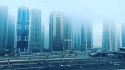 Timelapse Shows Dubai Marina Shrouded in Fog