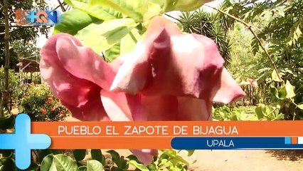 +QN 29 Diciembre 2017