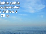 Clicktronic Casual Subwoofer câble câble en Y pour subwoofer actif avec entrée stéréo 75