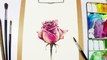 Painting Flowers in Watercolor - Sped up video-m6SHlw8Xi30