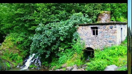 Çarşıbaşı Yeniköy