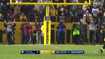 Patriots vs. Steelers - NFL Week 15 Game Highlights