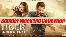 Tiger Zinda Hai First Weekend Collection: Salman Khan, Katrina Kaif crossed 100 crore | FilmiBeat