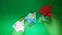 국내최초 쉬운 물고기열대어 종이접기 Origami tropical fish Easy DIY Fish-b-G0Oj-w6-c