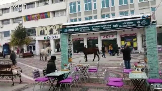 Şaşkına dönenlerde oldu, cep telefonuna kaydedenler de