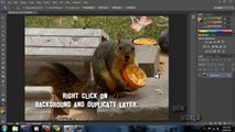 Adobe Photoshop CS6 - Color Splash Effect - [ Beginners ]-PPi21xuJXVU